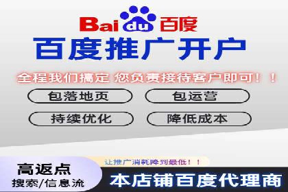 顶尖SEM竞价代运营公司案例分析